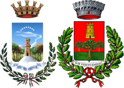Logo Centrale Unica di Committenza dei Comuni di Torre del Greco e Trecase